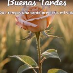 buenas tardes que tengas una tarde preciosa, mi vida