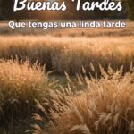 buenas tardes que tengas una linda tarde