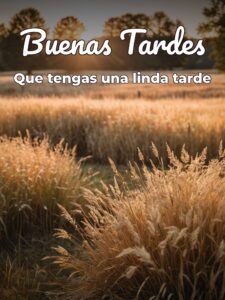 Mensajes de buenas tardes cristianos para WhatsApp celular