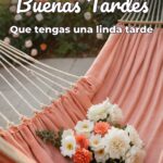 buenas tardes que tengas una linda tarde