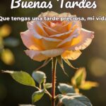 buenas tardes que tengas una tarde preciosa, mi vida