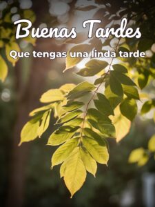 Mensajes de buenas tardes para WhatsApp celular