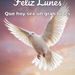 feliz lunes que hoy sea un gran lunes