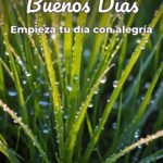 buenos días empieza tu día con alegría
