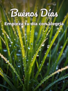 Mensajes de buenos días bonitos para celular