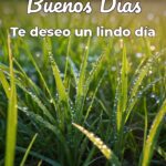 buenos días te deseo un lindo día