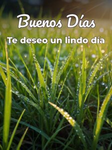 Mensajes de buenos días bonitos para descargar