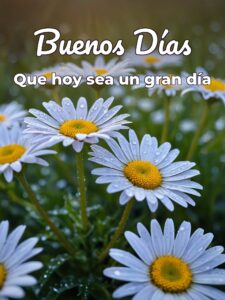 Mensajes de buenos días bonitos para una amiga