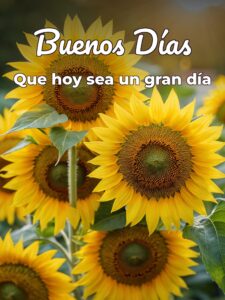 Mensajes de buenos días con imágenes bonitas para Facebook