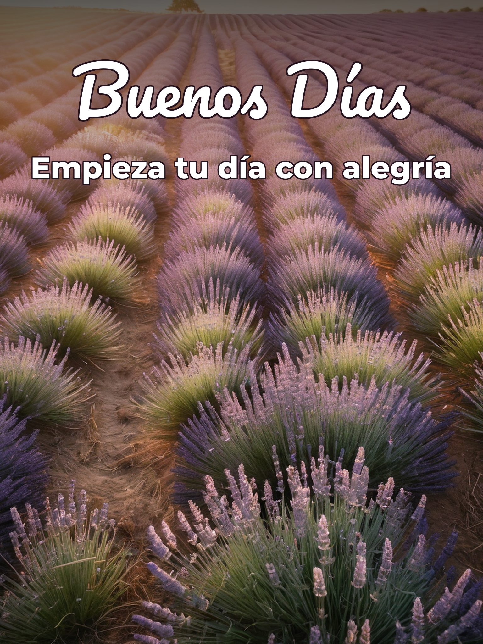 Mensajes de buenos días imágenes para una amiga