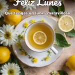 feliz lunes que tengas un lunes maravilloso