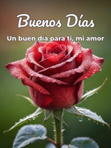 Mensajes de buenos días para mi amor para mi amor