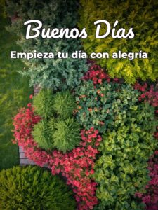 Mensajes de buenos días para para una amiga