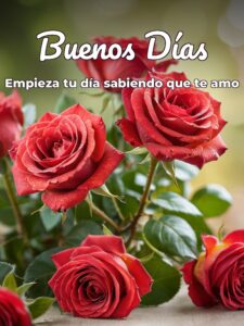 Mensajes de buenos días para tu novio para WhatsApp