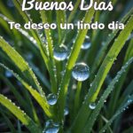 buenos días te deseo un lindo día