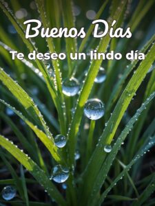 Mensajes de buenos días para una amiga