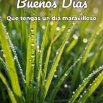buenos días que tengas un día maravilloso