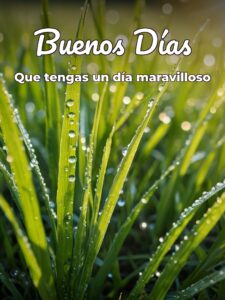 Mensajes de buenos días para una mujer para una amiga