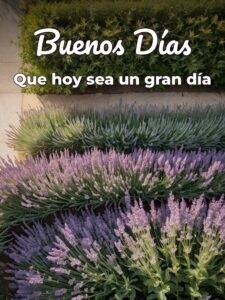 Mensajes de buenos días romanticos para una amiga