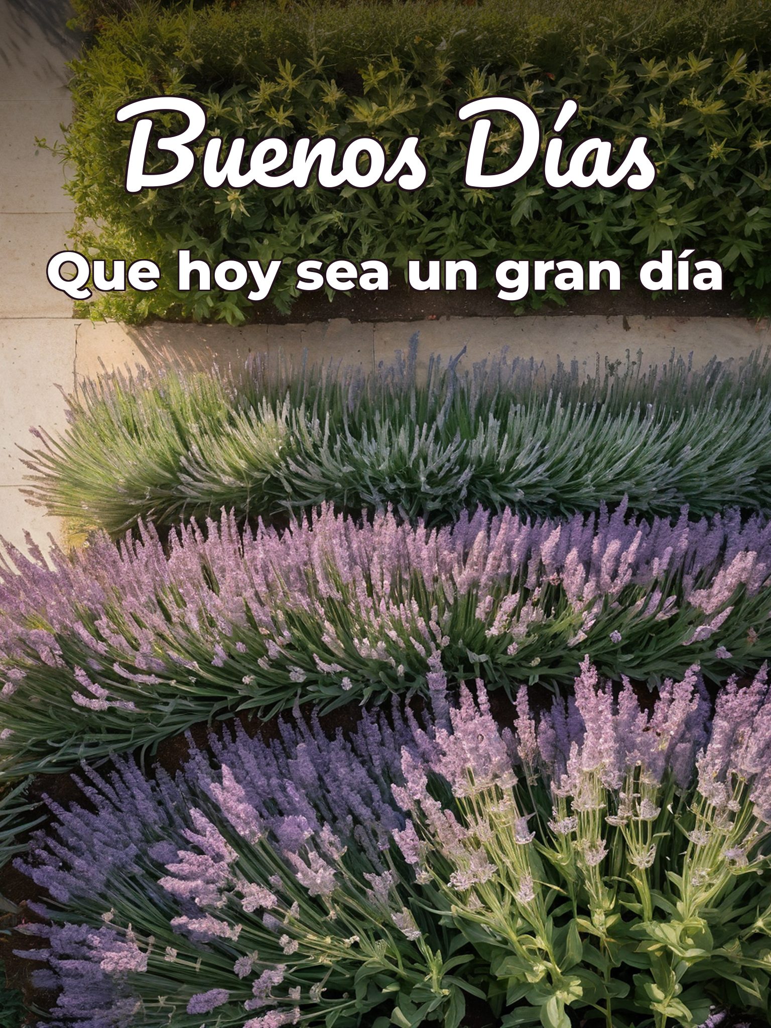Mensajes de buenos días romanticos para una amiga