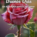 buenos días un buen día para ti, mi amor