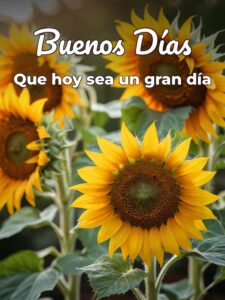 Mensajes de de buenos días para celular