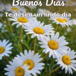 buenos días te deseo un lindo día
