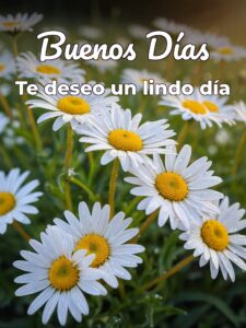 Mensajes de de buenos días para descargar