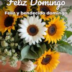 feliz domingo feliz y bendecido domingo