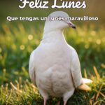 feliz lunes que tengas un lunes maravilloso