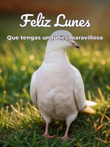 Mensajes de feliz lunes bendiciones para WhatsApp gratis