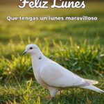 feliz lunes que tengas un lunes maravilloso