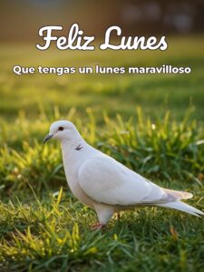 Mensajes de feliz lunes Dios te bendiga para WhatsApp gratis para celular