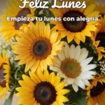 feliz lunes empieza tu lunes con alegría