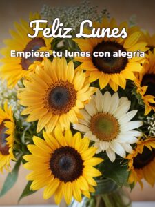 Mensajes de feliz lunes mi vida