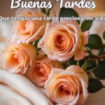 buenas tardes que tengas una tarde preciosa, mi vida