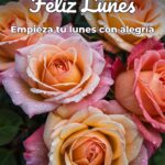 feliz lunes empieza tu lunes con alegría