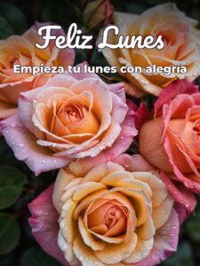 Mensajes de un buen lunes