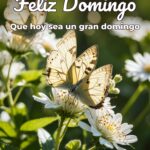 feliz domingo que hoy sea un gran domingo