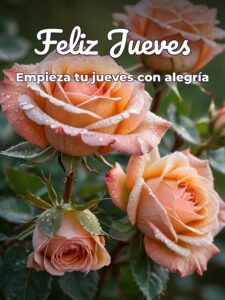 Mensajes del día jueves para celular descargar
