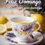 feliz domingo que hoy sea un gran domingo
