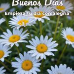 buenos días empieza tu día con alegría