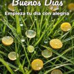 buenos días empieza tu día con alegría