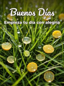 Mensajes hola buenos días para celular