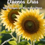 buenos días que tengas un día maravilloso
