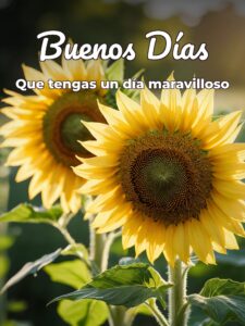 Mensajes hola buenos días para descargar