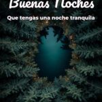 buenas noches que tengas una noche tranquila