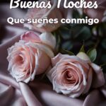 buenas noches que sueñes conmigo
