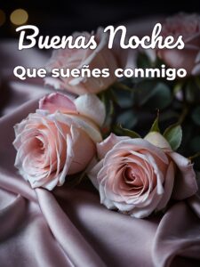Mensajes lindos de buenas noches para mi amor