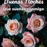 buenas noches que sueñes conmigo